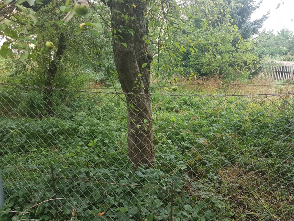 Neu angelegtes Beet nach Baumentfernung