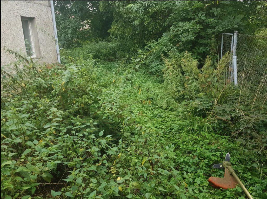 Gepflegtes Grundstück