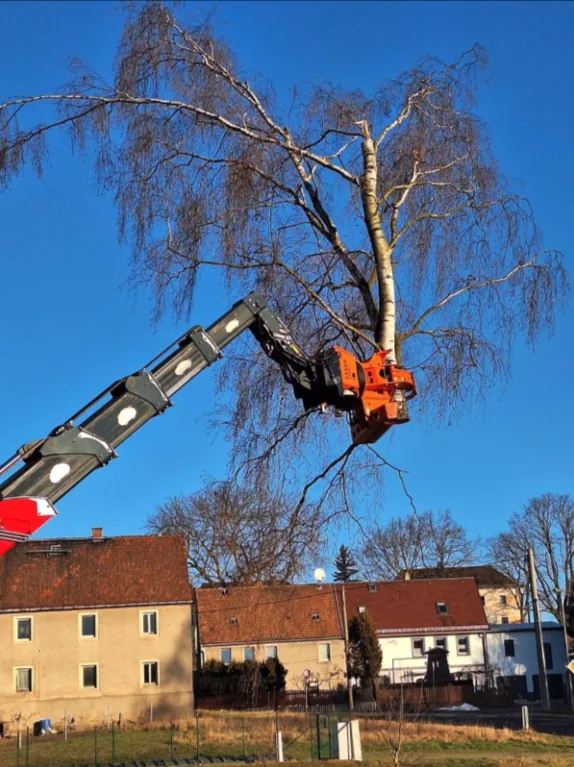 Fällkran